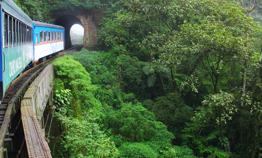 Passeio de trem entre Curitiba e Morretes pela Serra do Mar