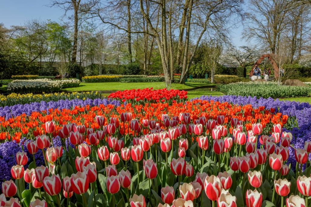 keukenhof, Holanda keukenhof, Holanda