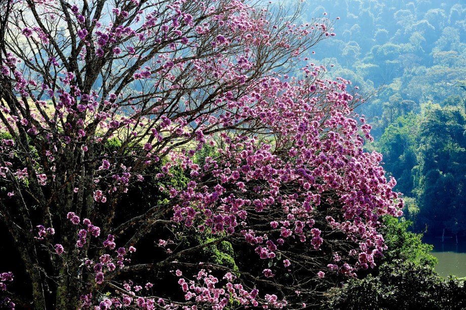 Área externa da Fazenda Dona Carolina, em Itatiba, São Paulo