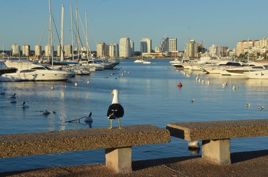 Os iates aportados na Playa Mansa, no balneário uruguaio de Punta del Este