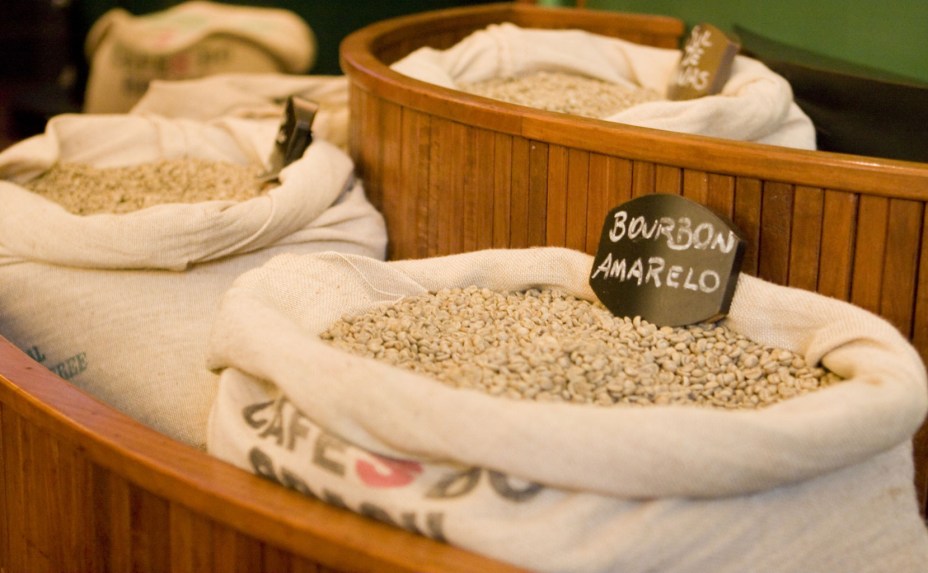 Atualmente, a Cafetaria do Museu trabalha diversos tipos de cafés brasileiros, inclusive o Jacu Bird Coffee, o mais caro e raro do Brasil, obtido com os grãos expelidos pelo pássaro Jacu, que se alimenta dos frutos do café