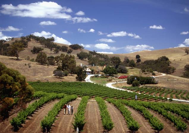 O Vale Barossa, localizado a 86 quilômetros de Adelaide, é a mais famosa região produtora de vinho do estado de South Australia, com mais de 50 vinícolas e adegas O Vale Barossa, localizado a 86 quilômetros de Adelaide, é a mais famosa região produtora de vinho do estado de South Australia, com mais de 50 vinícolas e adegas