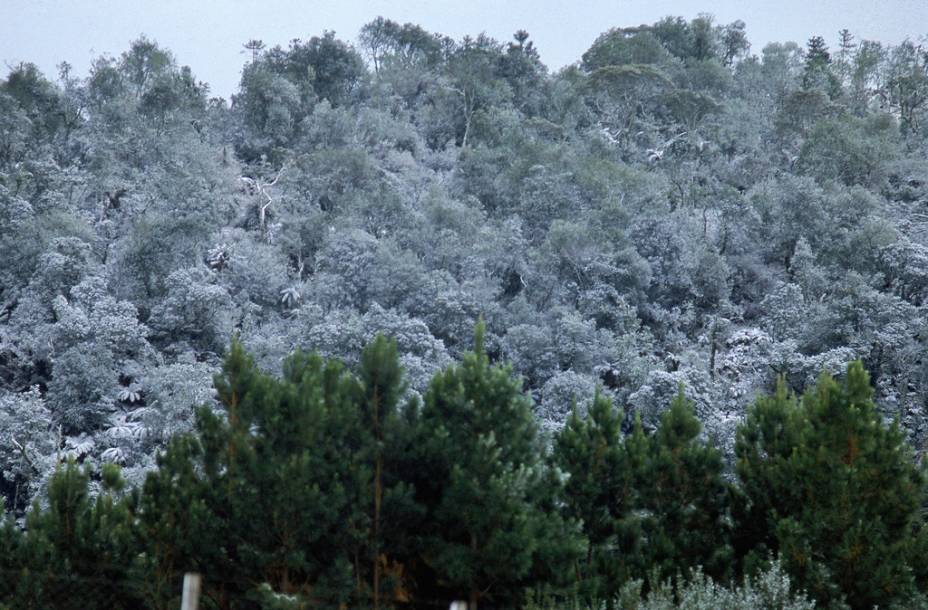 Neve em <strong>São Joaquim</strong>, Santa Catarina