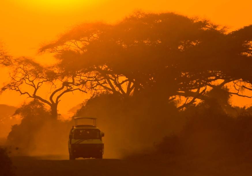 A palavra safári, em swahili, a língua oficial da Tanzânia, significa jornada. Esse é provavelmente o mais gratificante passeio que pode ser feito no país e a possibilidade de ver grandes animais são bem consideráveis