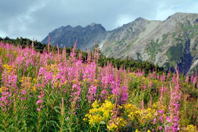 Donos de uma paisagem deslumbrante, os Montes Tatras são considerados como um parque nacional. Muitas de suas trilhas são percorridas por visitantes em busca de aventura Donos de uma paisagem deslumbrante, os Montes Tatras são considerados como um parque nacional. Muitas de suas trilhas são percorridas por visitantes em busca de aventura