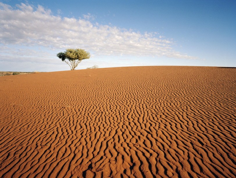 Dunas em Nilpena Station a oeste de Flinders Ranges