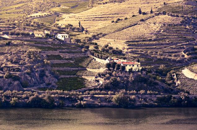 Vínicola na margem do Douro Vínicola na margem do Douro