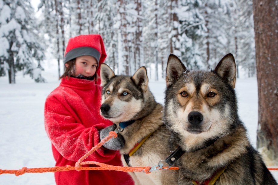 Uma das atividades mais populares na Lapônia é o passeio com trenós puxados por cães de tiro