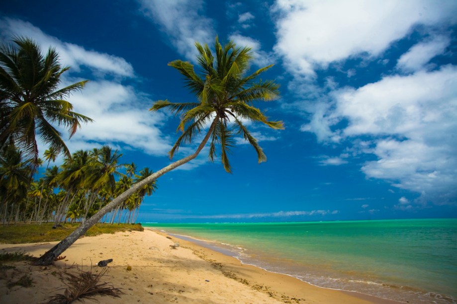 Praia do Patacho. Na maré baixa é possível caminhar quilômetros "mar" adentro e curtir as piscinas naturais que se formam