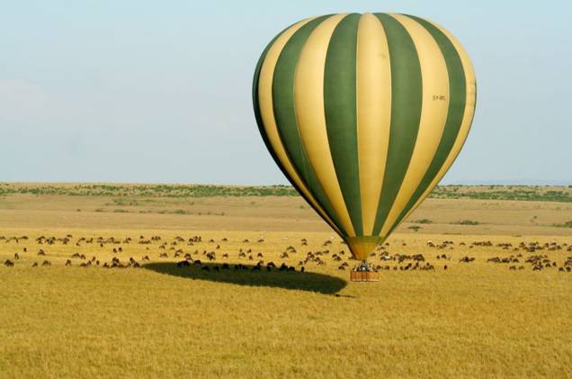 O passeio de balão em Masai Mara, o mais famoso parque do <a href="https://gutenberg.viagemeturismo.abril.com.br/paises/quenia/">Quênia</a>, é praticamente um safári no ar. De julho a outubro, milhares de animais percorrem o parque em busca de água, sobre o balão o turista consegue sentir o espírito da migração. Com sorte, é possível avistar um dos raríssimos rinocerontes negros que habitam o Masai Mara. O passeio de balão em Masai Mara, o mais famoso parque do <a href="https://gutenberg.viagemeturismo.abril.com.br/paises/quenia/">Quênia</a>, é praticamente um safári no ar. De julho a outubro, milhares de animais percorrem o parque em busca de água, sobre o balão o turista consegue sentir o espírito da migração. Com sorte, é possível avistar um dos raríssimos rinocerontes negros que habitam o Masai Mara.