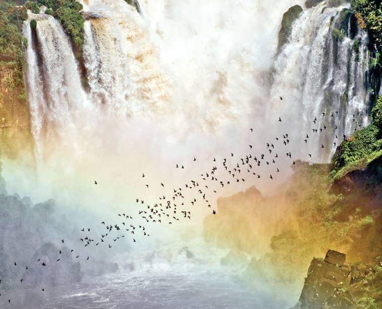 <strong><a href="https://viajeaqui.abril.com.br/cidades/br-pr-foz-do-iguacu" target="_blank">Foz do Iguaçu</a> - <a href="https://viajeaqui.abril.com.br/paises/brasil" target="_blank">Brasil</a></strong>
