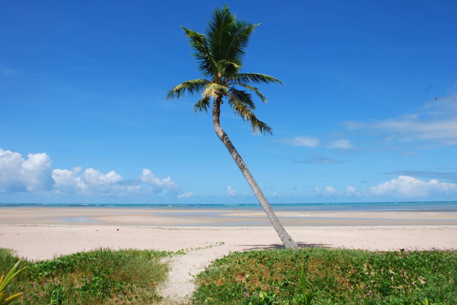 Uma das características do litoral alagoano são as praias rasas, que "secam" na maré baixa. <a href="https://viajeaqui.abril.com.br/estabelecimentos/br-al-sao-miguel-dos-milagres-atracao-praia-porto-da-rua">Porto da Rua</a>, praia de <a href="https://viajeaqui.abril.com.br/cidades/br-al-sao-miguel-dos-milagres" target="_blank">São Miguel dos Milagres</a>, é assim. É possível acompanhar a maré subindo e aquele mar de cor verde-água tomando conta do horizonte, aos poucos, enquanto o dia acontece