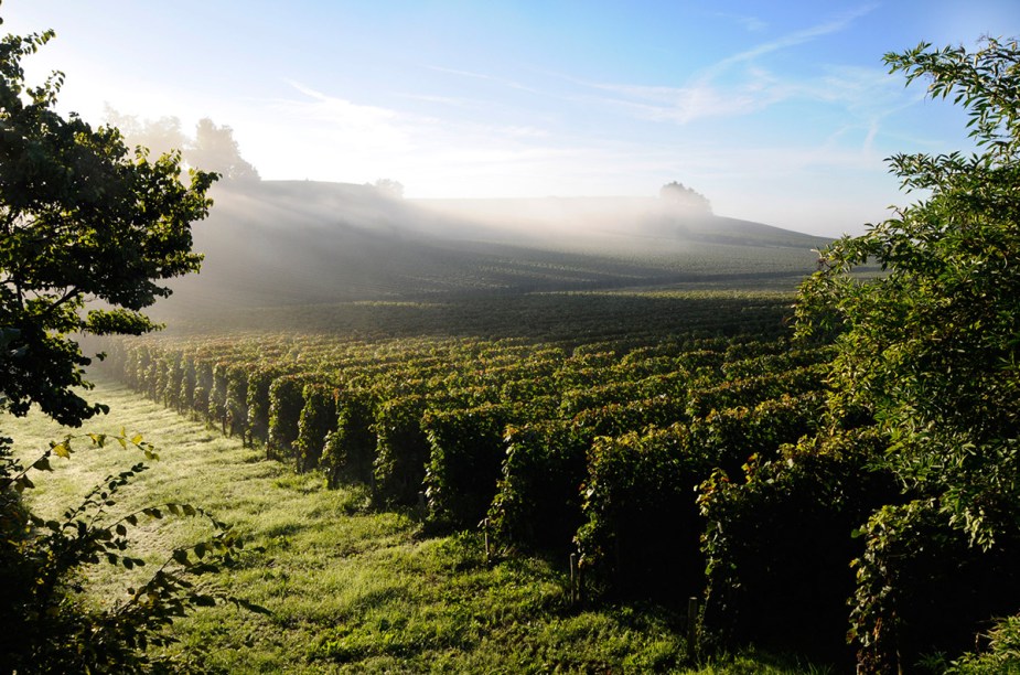 <strong>AQUITAINE GOURMET</strong>        Vizinha a <strong>Bordeaux (foto)</strong>, a região agrícola líder da <a href="https://viajeaqui.abril.com.br/paises/franca" rel="França" target="_self">França</a> produz morango, cenoura, aspargo, uvas... Entre as parreiras do Château Haut Lafit- te, o hotel <a href="https://bit.ly/sr_c" rel="Les Sources de Caudalie" target="_blank">Les Sources de Caudalie</a> fica a 200 metros do castelo-sede da vinícola, aberto a hóspedes. O pacote tem três noites na propriedade e uma aula de culinária com almoço no La Grand’ Vigne, duas-estrelas no Michelin.        <strong>QUANDO</strong> Até outubro        <strong>QUEM LEVA</strong> <a href="https://bit.ly/slcns" rel="Selections" target="_blank">Selections</a>        <strong>QUANTO</strong> € 1 725