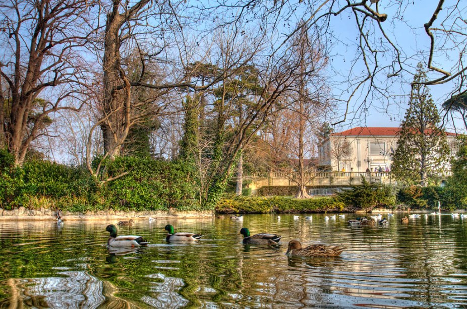 Patos nadam tranquilamente nas águas do parc de la Maison Blanche, em <a href="https://viajeaqui.abril.com.br/cidades/franca-marselha/" rel="Marselha">Marselha</a>, <a href="https://viajeaqui.abril.com.br/paises/franca" rel="França" target="_self">França</a>