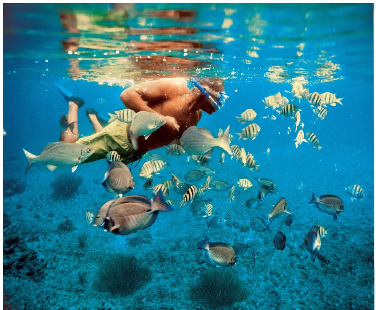A maior atração de <a href="https://gutenberg.viagemeturismo.abril.com.br/cidades/cozumel/">Cozumel</a>, no <a href="https://gutenberg.viagemeturismo.abril.com.br/paises/mexico/">México</a>, são seus corais, apresentados ao mundo pelo pesquisador francês Jacques Cousteau