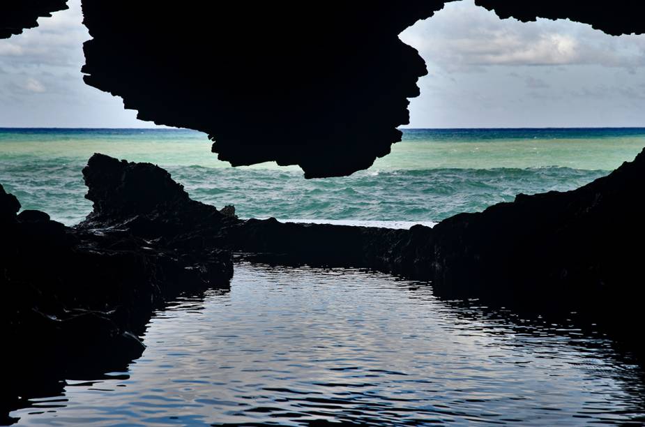 "Animal Flower Cave"