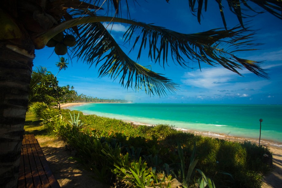 Quando a maré está baixa, a Praia de Lage, repleta de coqueiros, é boa para caminhadas