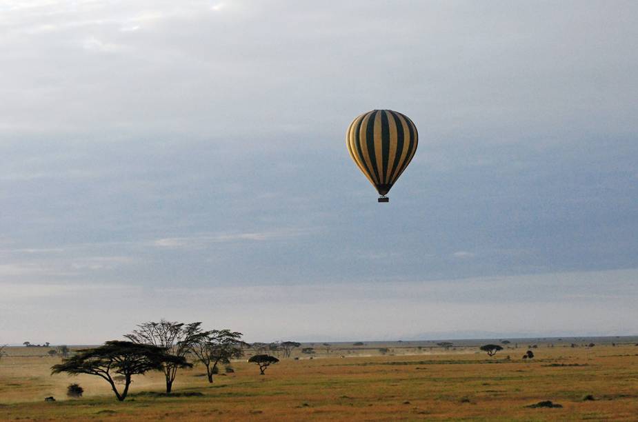 Rebanhos e manadas de zebras, girafas, leões, hipopótamos, elefantes, entre outros habitantes da <a href="https://gutenberg.viagemeturismo.abril.com.br/paises/tanzania/">Tanzânia</a>, são só uma prévia da paisagem vista de cima de um balão no <a href="https://gutenberg.viagemeturismo.abril.com.br/atracao/parque-nacional-do-serengeti/">Parque Nacional do Serengeti</a>, em <a href="https://gutenberg.viagemeturismo.abril.com.br/cidades/arusha/">Arusha</a>. A flora da savana africana completa a obra. E não pense que os elefantes avistados são "pontinhos cinza". Nada disso! É possível observá-los a uma curta distância e ficar atento para – quem sabe - não esbarrar na cabeça de uma girafa (ok, nem tanto).