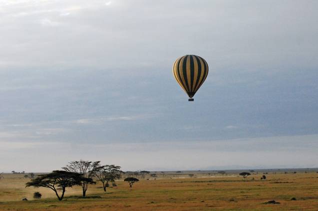 Rebanhos e manadas de zebras, girafas, leões, hipopótamos, elefantes, entre outros habitantes da <a href="https://gutenberg.viagemeturismo.abril.com.br/paises/tanzania/">Tanzânia</a>, são só uma prévia da paisagem vista de cima de um balão no <a href="https://gutenberg.viagemeturismo.abril.com.br/atracao/parque-nacional-do-serengeti/">Parque Nacional do Serengeti</a>, em <a href="https://gutenberg.viagemeturismo.abril.com.br/cidades/arusha/">Arusha</a>. A flora da savana africana completa a obra. E não pense que os elefantes avistados são "pontinhos cinza". Nada disso! É possível observá-los a uma curta distância e ficar atento para – quem sabe - não esbarrar na cabeça de uma girafa (ok, nem tanto). Rebanhos e manadas de zebras, girafas, leões, hipopótamos, elefantes, entre outros habitantes da <a href="https://gutenberg.viagemeturismo.abril.com.br/paises/tanzania/">Tanzânia</a>, são só uma prévia da paisagem vista de cima de um balão no <a href="https://gutenberg.viagemeturismo.abril.com.br/atracao/parque-nacional-do-serengeti/">Parque Nacional do Serengeti</a>, em <a href="https://gutenberg.viagemeturismo.abril.com.br/cidades/arusha/">Arusha</a>. A flora da savana africana completa a obra. E não pense que os elefantes avistados são "pontinhos cinza". Nada disso! É possível observá-los a uma curta distância e ficar atento para – quem sabe - não esbarrar na cabeça de uma girafa (ok, nem tanto).