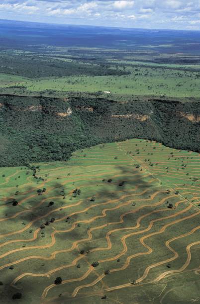 Vista aérea do Parque Nacional da Chapada dos Guimarães, rico em formações rochosas e cachoeiras