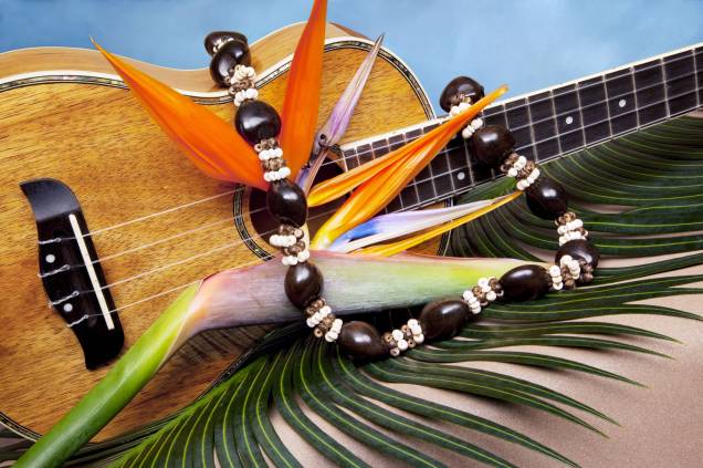 <strong>Ukulele</strong><br /> O instrumento musical típico do Havaí, o ukulele chegou ao arquipélago junto com os trabalhadores da Ilha da Madeira no final do século XIX, que foram para lá cultivar de cana-de-açúcar. Ukulele significa "pulga saltitante" no idioma havaiano. Além dos britânicos e madeirenses, as ilhas havaianas receberam imigrantes da França, Espanha, China e Japão. <strong>Ukulele</strong><br /> O instrumento musical típico do Havaí, o ukulele chegou ao arquipélago junto com os trabalhadores da Ilha da Madeira no final do século XIX, que foram para lá cultivar de cana-de-açúcar. Ukulele significa "pulga saltitante" no idioma havaiano. Além dos britânicos e madeirenses, as ilhas havaianas receberam imigrantes da França, Espanha, China e Japão.