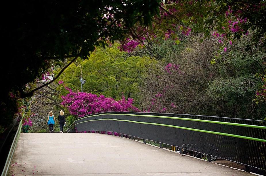 <strong>4. <a href="https://viajeaqui.abril.com.br/cidades/br-rs-porto-alegre" rel="Porto Alegre " target="_blank">Porto Alegre </a></strong>No final de semana do Dia dos Pais, o frio ainda deve fazer parte da atmosfera da cidade. Aproveite o final de semana como um gaúcho. Vale a pena visitar a <a href="https://viajeaqui.abril.com.br/estabelecimentos/br-rs-porto-alegre-atracao-fundacao-ibere-camargo" rel="Fundação Iberê Camargo" target="_blank">Fundação Iberê Camargo</a>, o <a href="https://viajeaqui.abril.com.br/estabelecimentos/br-rs-porto-alegre-atracao-memorial-do-rio-grande-do-sul" rel="Memorial do Rio Grande do Sul" target="_blank">Memorial do Rio Grande do Sul</a> e o clássico <a href="https://viajeaqui.abril.com.br/estabelecimentos/br-rs-porto-alegre-atracao-parcao-moinhos-de-vento" rel="Parcão" target="_blank">Parcão</a>.Veja uma sugestão de roteiro de <a href="https://viajeaqui.abril.com.br/materias/48-horas-em-porto-alegre" rel="48 horas em Porto Alegre" target="_blank"><strong>48 horas em Porto Alegre</strong></a>