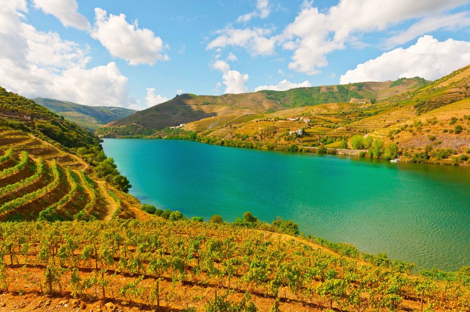 <strong>Alto Douro, <a href="https://viajeaqui.abril.com.br/paises/portugal" target="_self">Portugal</a></strong>As belas paisagens às margens do Rio Douro, tombadas como Patrimônio Mundial da Unesco, se justificam: a região é uma das mais importantes na cultura dos vinhos de Portugal. Daqui, saem rótulos saborosos e sofisticados, produzidos em larga escala ao longo de mais de 40 mil hectares de vinícolas. Entre os grandes destaques, está a produção de Vinho do Porto<em><a href="https://www.booking.com/region/pt/douro.pt-br.html?aid=332455&label=viagemabril-vinicolas-da-europa" target="_blank" rel="noopener">Veja preços de hotéis no Douro no Booking.com</a></em>