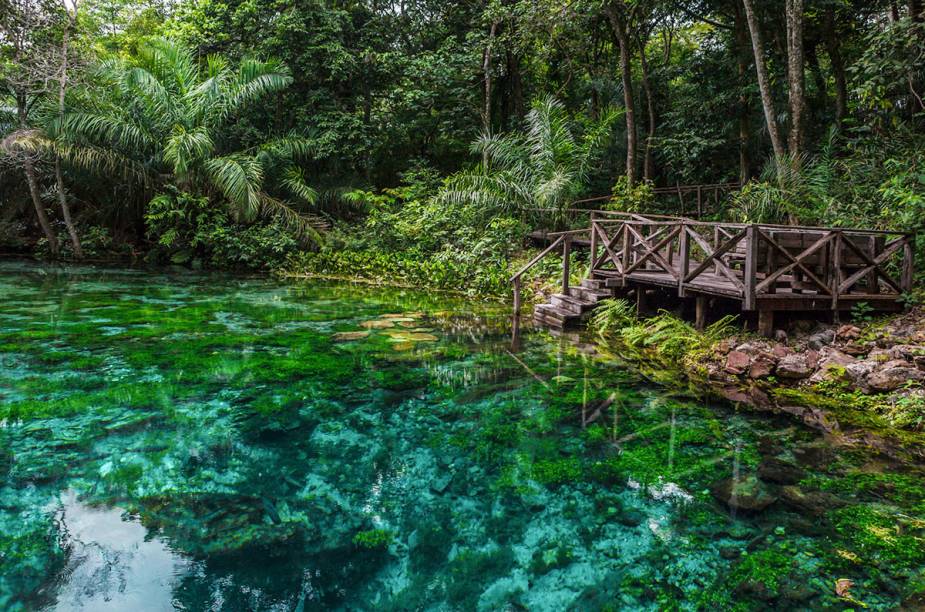 <a href="https://viajeaqui.abril.com.br/cidades/br-ms-bonito" rel="Bonito" target="_blank"><strong>Bonito</strong></a>A 300 quilômetros de <a href="https://viajeaqui.abril.com.br/cidades/br-ms-campo-grande" rel="Campo Grande" target="_blank">Campo Grande</a>, no <a href="https://viajeaqui.abril.com.br/estados/br-mato-grosso-do-sul" rel="Mato Grosso do Sul" target="_blank">Mato Grosso do Sul</a>, está um dos melhores lugares para mergulho em água doce no <a href="https://viajeaqui.abril.com.br/paises/brasil" rel="Brasil" target="_blank">Brasil</a>. Com turismo organizado, as fazendas locais – como a do <a href="https://viajeaqui.abril.com.br/estabelecimentos/br-ms-jardim-atracao-flutuacao-no-rio-da-prata-001" rel="Rio da Prata" target="_blank">Rio da Prata</a> e do <a href="https://viajeaqui.abril.com.br/estabelecimentos/br-ms-bonito-atracao-flutuacao-no-rio-sucuri" rel="Rio Sucuri" target="_blank">Rio Sucuri</a> - oferecem passeios de flutuação e uso de snorkel, onde os visitantes podem observar diferentes espécies de peixes, entre eles, o mais chamativo: o dourado. Piraputangas, cara-açus, pacus, curimbas e raias podem ser vistas também. As cavernas alagadas servem para o mergulho em <a href="https://viajeaqui.abril.com.br/cidades/br-ms-bonito" rel="Bonito" target="_blank">Bonito</a>. Entre elas, a mais procurada é o <a href="https://viajeaqui.abril.com.br/estabelecimentos/br-ms-bonito-atracao-abismo-anhumas" rel="abismo Anhumas" target="_blank">abismo Anhumas</a>, acessível a partir de um rapel de 72 metros. É possível explorar as formações de estalactites submersas, com visibilidade de cerca de 40 metros, os turistas podem praticar tanto mergulho com cilindro, como snorkelling. A temperatura média anual de <a href="https://viajeaqui.abril.com.br/cidades/br-ms-bonito" rel="Bonito" target="_blank">Bonito</a> é de 25°C, próxima à da água de, aproximadamente, 20°C. A melhor época para visitar <a href="https://viajeaqui.abril.com.br/cidades/br-ms-bonito" rel="Bonito" target="_blank">Bonito</a> é entre os meses de dezembro e março, no período de chuvas, pois é quando os animais aparecem pela abundância de alimentos.