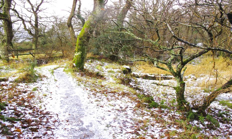 <strong>25. Bosque de Frith, <a href="https://viajeaqui.abril.com.br/paises/reino-unido?iframe=true" rel="Reino Unido" target="_self">Reino Unido</a></strong>            A história desse lugar é carregada de mistérios. Durante o século 19, a Greenlaw House, localizada em seus arredores, serviu de cárcere para soldados franceses capturados durante a Guerra Napoleônica. Uma mulher da região teria se apaixonado por um desses prisioneiros, posteriormente assassinado por seu pai e irmão. Pouco tempo depois, ela veio a falecer – possivelmente pelas suas próprias mãos. Seu espírito ainda sondaria a floresta, e algumas pessoas alegam que dá pra ouvir seus soluços ou até mesmo ver seu vulto correndo freneticamente por entre as árvores.