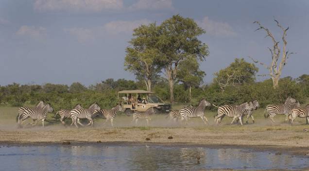 Safári na região do delta do Okavango Safári na região do delta do Okavango