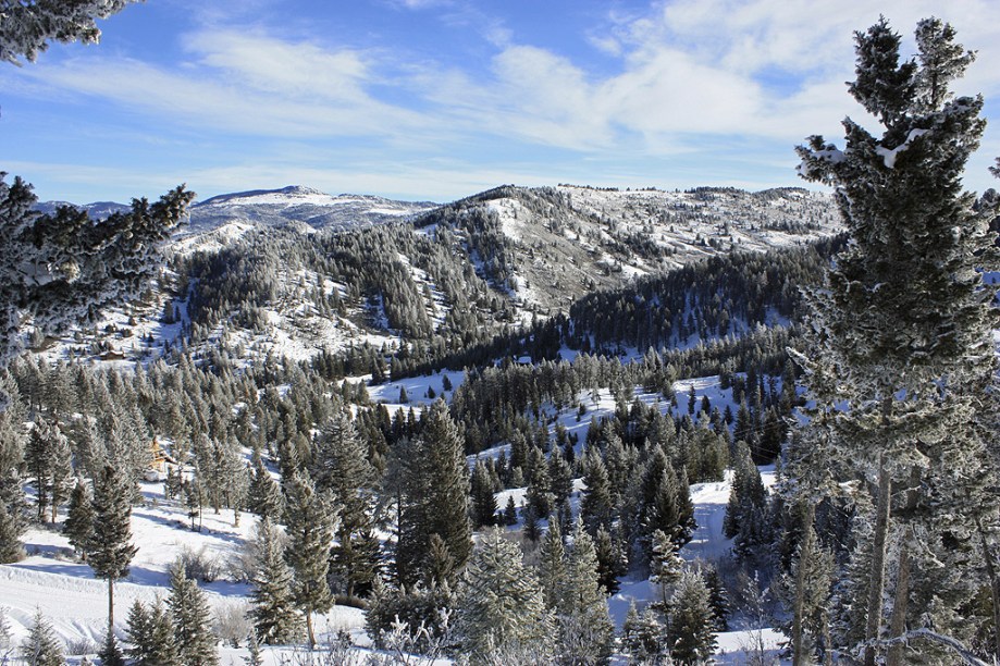 <strong>Bozeman, Montana, Estados Unidos</strong><br />        Por não ser uma cidade voltada para o esqui, estadias caras e restaurantes renomados são excessão. As atrações de Bozeman são as duas selvagens montanhas de Montana. Bridger Bowl é uma área de esqui sem fins lucrativos a 20 minutos da cidade, e Big Sky Resort, gigantesca, é uma das maiores dos Estados Unidos. Iniciantes e intermediários têm diversas opções a seu dispor, Big Sky é a deluxe e Bridger é a <em>low-cost</em>. A 60 minutos de carro, o Yellowstone National Park, além do esqui, é rico para se observar a natureza