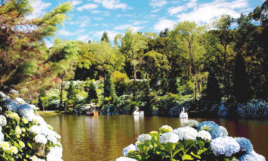 O <a href="https://viajeaqui.abril.com.br/estabelecimentos/br-rs-gramado-atracao-lago-negro" rel="Lago Negro" target="_self">Lago Negro</a> de <a href="https://viajeaqui.abril.com.br/cidades/br-rs-gramado" rel="Gramado" target="_self">Gramado</a> (RS) concentra árvores trazidas da Floresta Negra da <a href="https://viajeaqui.abril.com.br/paises/alemanha" rel="Alemanha" target="_self">Alemanha</a>. Aqui, o passeio de pedalinhos é um dos favoritos dos turistas 