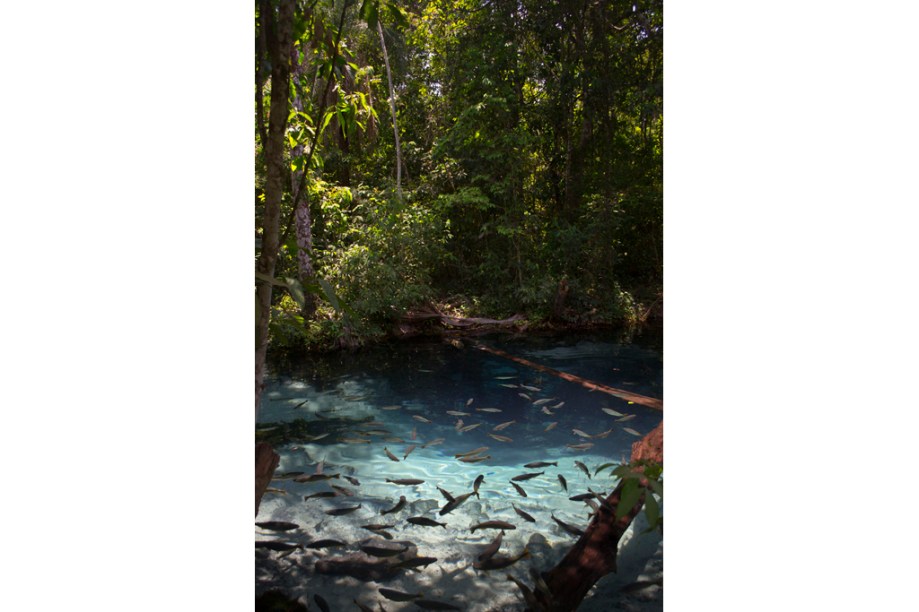 Aquário natural em Nobres, no Mato Grosso