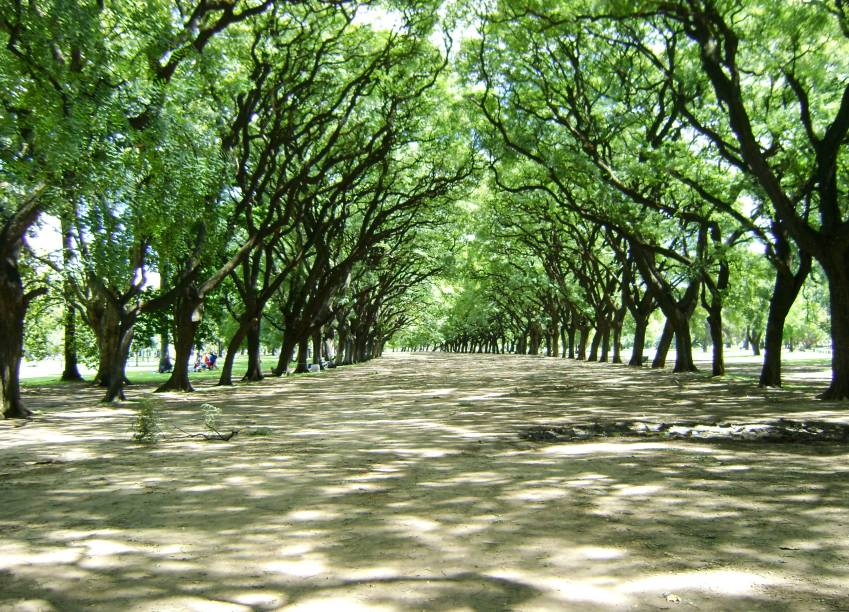 <strong>Bosques de Palermo</strong>                    O conjunto de parques e praças formam um cenário natural lindo e extremamente agradável, sobretudo com o lago que marca a paisagem. Cercado por árvores centenárias, o lugar é uma das boas pedidas para fazer um piquenique