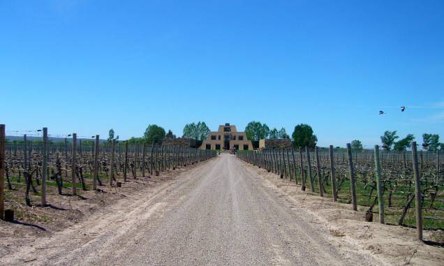 <strong><a href="https://www.catenawines.com/pt/" rel="4. Catena Zapata" target="_blank">4. Catena Zapata</a> (<a href="https://viajeaqui.abril.com.br/cidades/ar-mendoza" rel="Mendoza" target="_self">Mendoza</a>, <a href="https://viajeaqui.abril.com.br/paises/argentina" rel="Argentina" target="_self">Argentina</a>) </strong> O foco do passeio é a história da família que detém a propriedade, com mais de cem anos de atividade na viticultura, que se estende por quatro gerações. Aqui, o trabalho é focado nas cinco mais famosas cepas: Cabernet Sauvignon, Merlot, Cabernet Franc, Petit Verdot e Malbec. É uma das vinícolas mais conhecidas da região e também do Brasil, concentrando uma quantidade enorme de turistas. <strong><a href="https://www.catenawines.com/pt/" rel="4. Catena Zapata" target="_blank">4. Catena Zapata</a> (<a href="https://viajeaqui.abril.com.br/cidades/ar-mendoza" rel="Mendoza" target="_self">Mendoza</a>, <a href="https://viajeaqui.abril.com.br/paises/argentina" rel="Argentina" target="_self">Argentina</a>) </strong> O foco do passeio é a história da família que detém a propriedade, com mais de cem anos de atividade na viticultura, que se estende por quatro gerações. Aqui, o trabalho é focado nas cinco mais famosas cepas: Cabernet Sauvignon, Merlot, Cabernet Franc, Petit Verdot e Malbec. É uma das vinícolas mais conhecidas da região e também do Brasil, concentrando uma quantidade enorme de turistas.