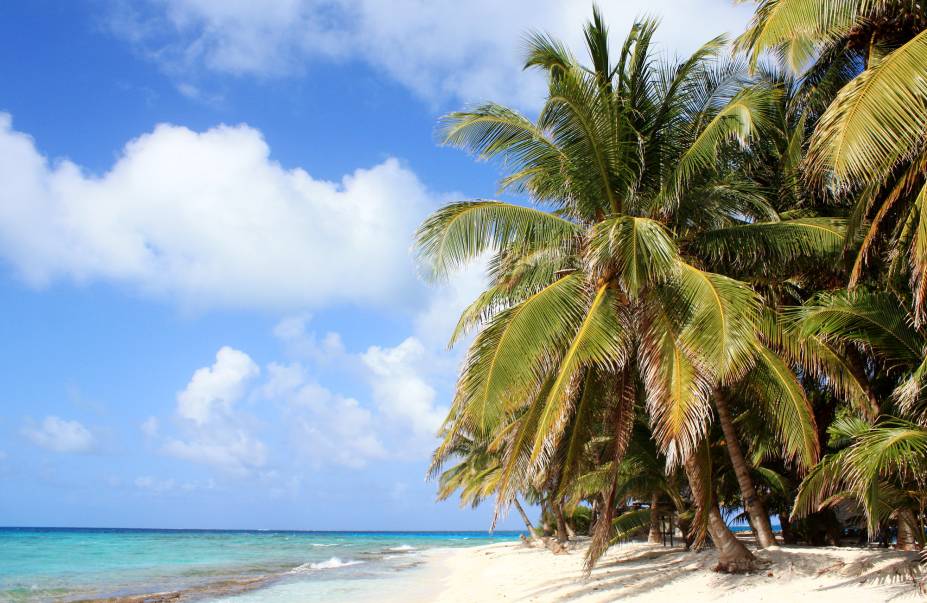 <strong>SAN ANDRÉS, COLOMBIA</strong>    Nada como relaxar em família nas cristalianas águas caribenhas. A cerca de 720 km da costa colombiana, o arquipélago de San Andrés e Providencia fica localizado em pleno mar do Caribe e parece um paraíso natural. Não deixe de levar sua mãe para curtir uma noite de reggae, salsa e reguetón, nem de aproveitar o dia para se encantar com a fauna e flora marítima em um bom mergulho nas águas turquesas de San Andrés.