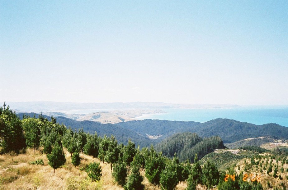 A costa de Gisborne reserva paisagens naturais impressionantes