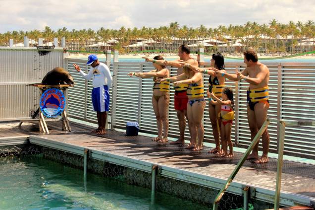 Show com leões-marinhos no Dolphin Island Park Show com leões-marinhos no Dolphin Island Park