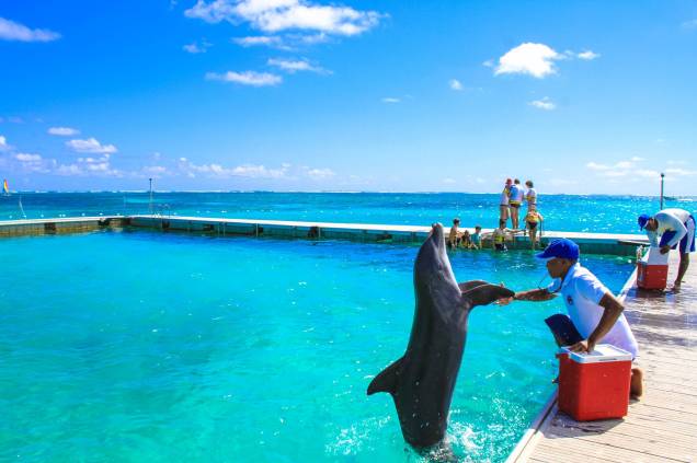 Dolphin Island Park, em Bávaro, ao norte de Punta Cana Dolphin Island Park, em Bávaro, ao norte de Punta Cana