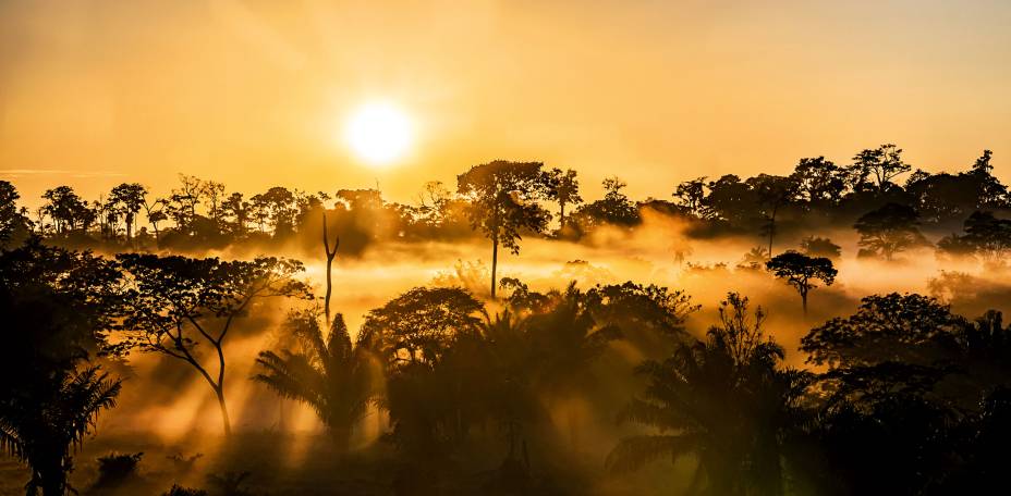 <strong>4. Parque Nacional da Serra do Divisor</strong>    Longe de tudo e de acesso dificílimo, o Parque Nacional da Serra do Divisor na fronteira do <a href="https://viajeaqui.abril.com.br/estados/br-acre" rel="Acre" target="_blank">Acre</a> com o <a href="https://viajeaqui.abril.com.br/paises/peru" rel="Peru" target="_blank">Peru</a>, é um daqueles lugares que parecem segredos muito bem guardados. A cidade mais próxima, Cruzeiro do Sul, no Acre, fica a dois dias de barco. Graças a esse isolamento, o local é um dos mais preservados da Amazônia, com a maior biodiversidade da região. O parque, por razões óbvias, não é aberto ao público. “Estive lá a convite da Secretaria de Comunicação do Acre para produzir uma série de reportagens no estado, incluindo a Serra do Divisor”, conta Dib