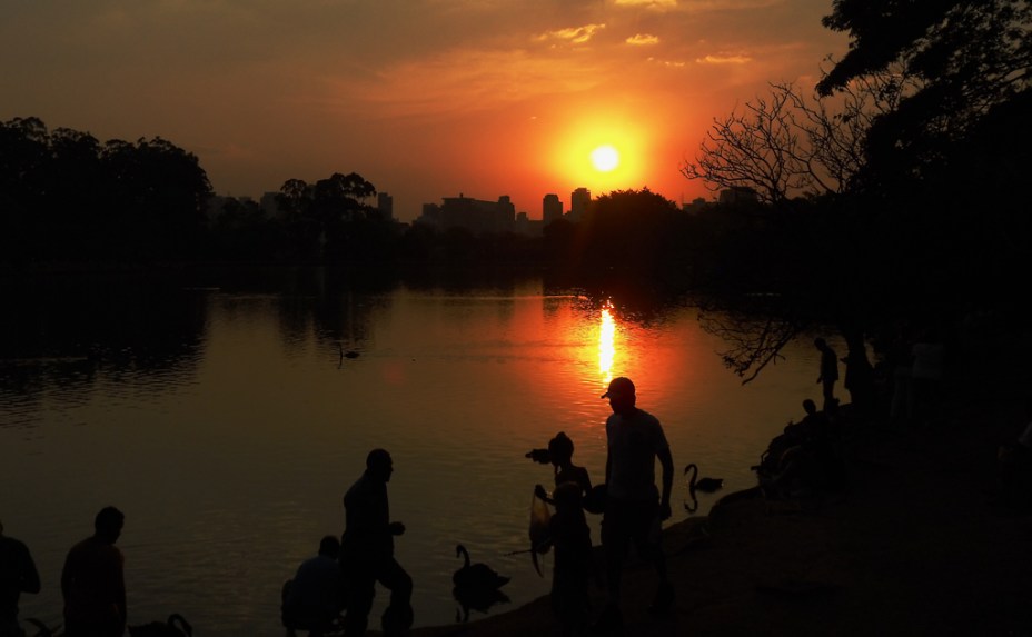 <a href="https://viajeaqui.abril.com.br/estabelecimentos/br-sp-sao-paulo-atracao-jardim-botanico" rel="Jardim Botânico" target="_blank">Jardim Botânico</a> de <a href="https://viajeaqui.abril.com.br/cidades/br-sp-sao-paulo" rel="São Paulo" target="_blank">São Paulo</a>