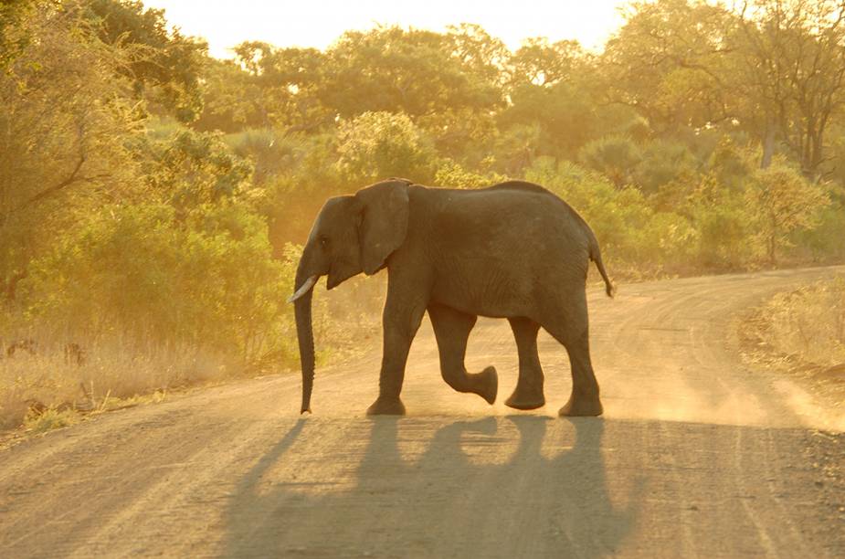 <a href="https://viajeaqui.abril.com.br/paises/africa-do-sul" rel="ÁFRICA DO SUL " target="_blank"><strong>ÁFRICA DO SUL </strong></a>A África do Sul é um país que vem caindo no gosto do turista brasileiro: há voos diretos do<a href="https://viajeaqui.abril.com.br/paises/brasil" rel=" Brasil" target="_blank"> Brasil</a> para <a href="https://viajeaqui.abril.com.br/cidades/africa-do-sul-johannesburgo" rel="Joanesburgo" target="_blank">Joanesburgo</a>, os safáris são irresistíveis, a <a href="https://viajeaqui.abril.com.br/cidades/africa-do-sul-cidade-do-cabo" rel="Cidade do Cab" target="_blank">Cidade do Cab</a>o é maravilhosa e os vinhos sul-africanos já provaram há muito tempo sua qualidade.