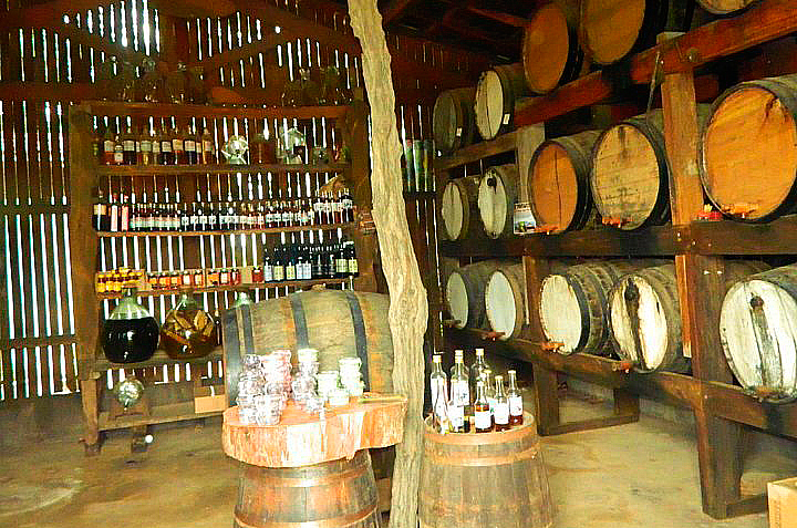 Quando a cana está madura os visitantes podem provar a cachaça feita no <a href="https://viajeaqui.abril.com.br/estabelecimentos/br-sp-holambra-atracao-rancho-da-cachaca" target="_blank">Rancho da Cachaça</a> e ver o processo de fabricação da bebida. Compras estão liberadas.