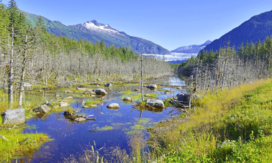<strong>16. Floresta Nacional Tongass, Alasca, <a href="https://viajeaqui.abril.com.br/paises/estados-unidos" rel="Estados Unidos" target="_self">Estados Unidos</a></strong>            Para muitos, não há lugar no mundo que seja uma personificação tão grande da natureza selvagem quanto o Alasca. Afinal de contas, até os ursos são velhos conhecidos dos moradores! Considerada a maior floresta do país, a Tongass ocupa uma área de quase 70 mil km², tendo sido tombada por Theodore Roosevelt em agosto de 1902. A visão que se tem do lugar, cercado por montanhas e lagos, é de tirar o fôlego. Além do velho amigo urso, é possível se deparar com águias sobrevoando as árvores do local.