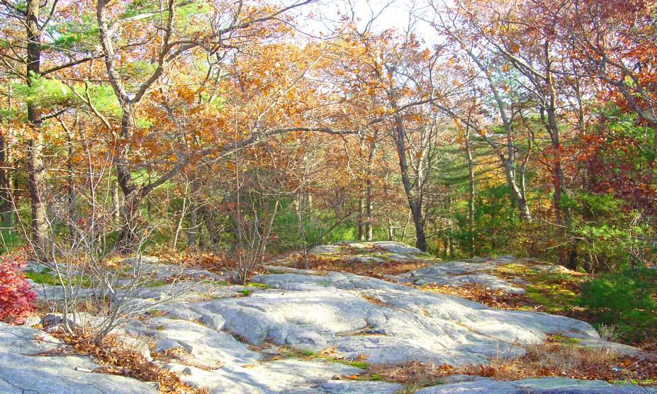 <strong>15. Floresta Estatal Freetown Fall River, <a href="https://viajeaqui.abril.com.br/paises/estados-unidos" rel="Estados Unidos" target="_self">Estados Unidos</a></strong>            Com uma área de 518 km², essa floresta ocupa uma parte do Triângulo de Bridgewater, ao sudeste de Massachussets. Conta-se que durante a ocupação dos ingleses, os povos nativos tiveram de abandonar a floresta, deixando para trás cemitérios ocultos. Nos anos 1970, o local foi palco de rituais satânicos e assassinatos. Moradores da região alegam que corpos de vítimas foram enterrados ali. Hoje, quem se aventura pelo local jura sentir a manifestação de fenômenos sobrenaturais, tais como óvnis e bolas de fogo.