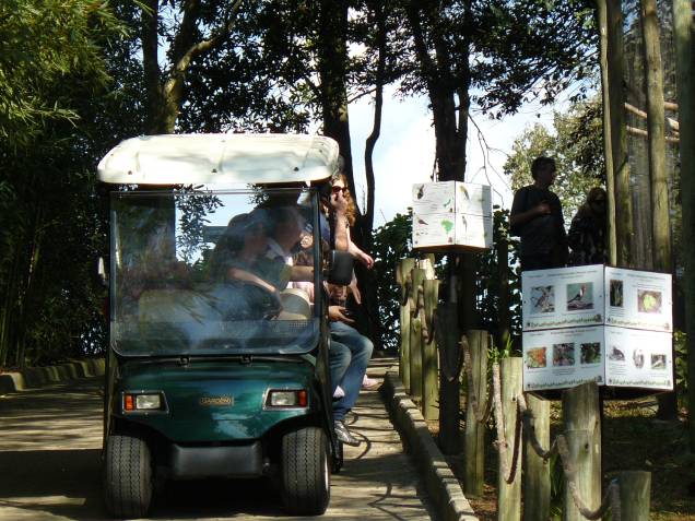 Carrinho elétrico no Gramado Zoo, Gramado (RS) Carrinho elétrico no Gramado Zoo, Gramado (RS)