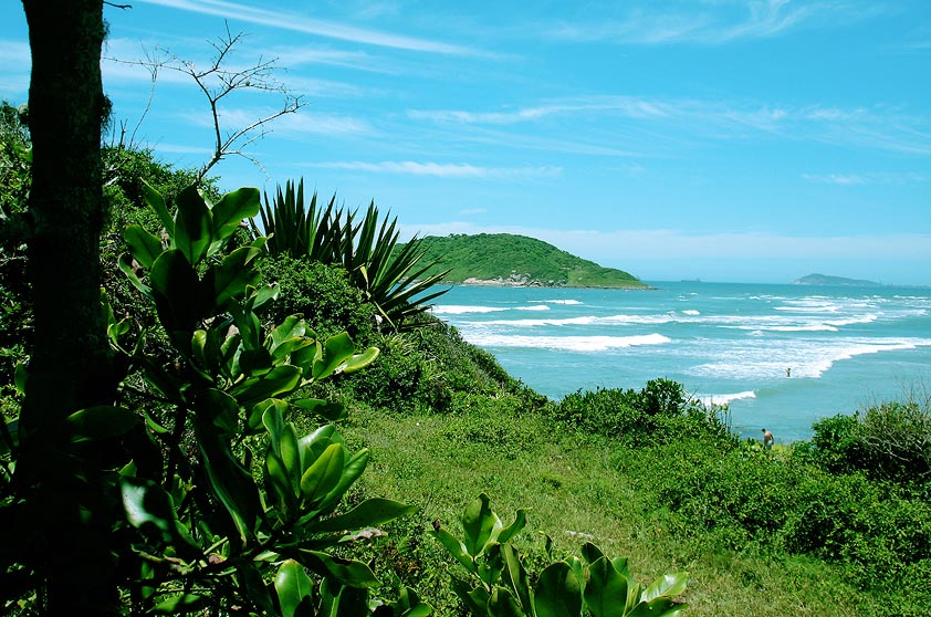 <strong>5. Praia do Luz, Imbituba</strong> Ao norte da praia, um morro a separa da <a href="https://gutenberg.viagemeturismo.abril.com.br/cidades/praia-do-rosa-7/" target="_blank" rel="noopener">Praia do Rosa</a>. Se quiser ir a pé, prepare a mochila, o protetor solar e o tênis: a caminhada dura 1h30. <strong></strong><a href="https://www.booking.com/searchresults.pt-br.html?aid=332455&lang=pt-br&sid=eedbe6de09e709d664615ac6f1b39a5d&sb=1&src=index&src_elem=sb&error_url=https%3A%2F%2Fwww.booking.com%2Findex.pt-br.html%3Faid%3D332455%3Bsid%3Deedbe6de09e709d664615ac6f1b39a5d%3Bsb_price_type%3Dtotal%26%3B&ss=Praia+da+Luz%2C+Praia+do+Rosa%2C+Santa+Catarina%2C+Brasil&checkin_monthday=&checkin_month=&checkin_year=&checkout_monthday=&checkout_month=&checkout_year=&no_rooms=1&group_adults=2&group_children=0&from_sf=1&ss_raw=Praia+do+Luz+&ac_position=0&ac_langcode=xb&dest_id=256036&dest_type=landmark&search_pageview_id=e2116e3db8050545&search_selected=true&map=1#map_opened" target="_blank" rel="noopener"><em>Busque hospedagens na Praia do Luz no Booking.com</em></a>