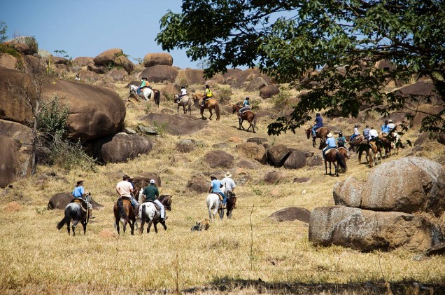 A Cavalgada da Queima do Alho tem esse nome porque os tropeiros eram instruídos pelas suas mulheres a "queimar o alho" na hora de preparar as refeições na viagem. Após 4 horas de passeio, a fazenda oferece um almoço aos participantes. Em 2014, o evento deve ocorrer em 6 de setembro. Mais informações: (11) 2118-4100 A Cavalgada da Queima do Alho tem esse nome porque os tropeiros eram instruídos pelas suas mulheres a "queimar o alho" na hora de preparar as refeições na viagem. Após 4 horas de passeio, a fazenda oferece um almoço aos participantes. Em 2014, o evento deve ocorrer em 6 de setembro. Mais informações: (11) 2118-4100