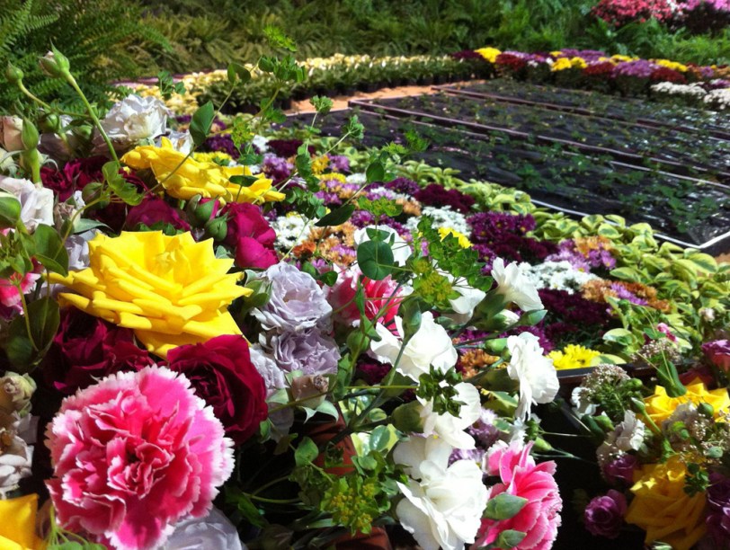 Arranjo de flores na Festa de Flores e Morangos de Atibaia, em São Paulo - edição de 2012