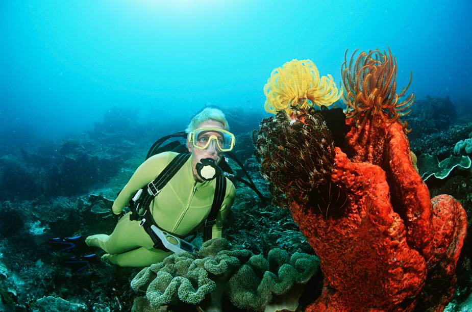 <a href="https://viajeaqui.abril.com.br/paises/indonesia" rel="Indonésia" target="_blank"><strong>Indonésia</strong></a>Como o maior arquipélago do mundo, que ocupa parte do continente da <a href="https://viajeaqui.abril.com.br/continentes/asia" rel="Ásia" target="_blank">Ásia</a> e da <a href="https://viajeaqui.abril.com.br/continentes/oceania" rel="Oceania" target="_blank">Oceania</a>, não poderia ficar fora da lista de destinos preferidos dos mergulhadores. As mais de 17 mil ilhas do país são banhadas por águas ricas em vida subaquática, com mais de 3 mil espécies de peixes e cerca de 600 de corais. Golfinhos, baleias-piloto, arraias e até um vulcão submarino são atrações durante o mergulho. A Indonésia conta com cerca de 500 pontos de mergulho, entre os mais famosos, estão Raja Ampat, Ilhas Banda, Sulawesi, Komodo e <a href="https://viajeaqui.abril.com.br/cidades/indonesia-bali" rel="Bali" target="_blank">Bali</a>. Bunaken, em Sulawesi (uma das áreas mais famosas), é cercada de águas cristalinas. Já Banda combinam a variedade de peixes de recife com corais rígidos e esponjas. Em Komodo, os visitantes podem encontrar tanto os lendários dragões, como recifes cheios de cores, arraias, golfinhos e dugongs (mamíferos parecidos com os nossos peixes-boi). A ilha mais famosa do arquipélago, Bali, tem opção de mergulhos de praia e contato com tubarões de recife. Mas os mergulhadores não viajam à Indonésia apenas para ter contato com o ecossistema da região: muitos são atraídos por riquezas de navios naufragados ali. A temperatura da água na Indonésia varia entre 19°C e 30°C e a melhor época para visitar a região é entre abril e dezembro. A língua oficial do país é o indonésio e a moeda é a rupia indonésia.